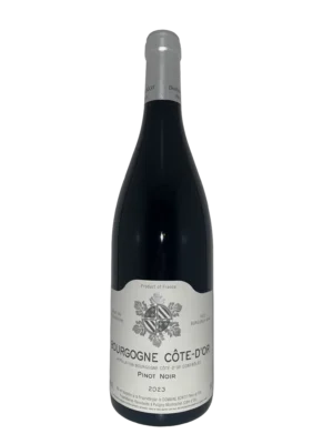 Bourgogne Côte d'Or Rouge 2023 - Sylvain Bzikot