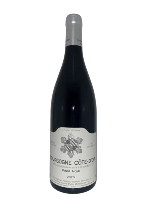 Bourgogne Côte d'Or Rouge 2023 - Domaine Bzikot